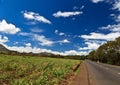 Mauritius landscape