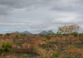 Mauritius landscape 1