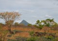Mauritius landscape 2