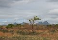 Mauritius landscape 3