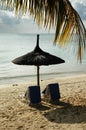 Mauritius seashore Royalty Free Stock Photo