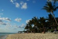 Mauritius seashore Royalty Free Stock Photo