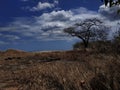 Mauritius Shimla way sea tombu bay nature Royalty Free Stock Photo