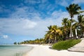 Mauritius tropical beach Royalty Free Stock Photo