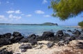 Mauritius. Tropical plants at the stony sea edge