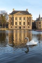 Mauritshuis Museum