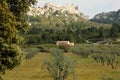 Maussane-les-Alpilles in Provence Royalty Free Stock Photo