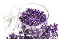 Mauve flowers dried in glass jar.