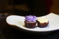 Mauve purple mini cupcake for dessert
