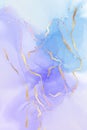 Mauve and teal blue liquid watercolor background with golden glitter splash. Pastel violet and cyan marble alcohol ink drawing Royalty Free Stock Photo