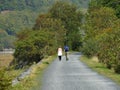 Mawddach trail wales