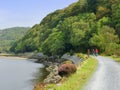 Mawddach trail wales