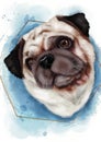 Digital drawing art of a dog pug