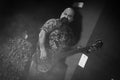 Max and Igor Cavalera at Live Music Club MI 05-12-2017 Royalty Free Stock Photo