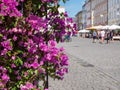 Max-Josefs-Platz in Rosenheim in spring