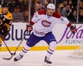 Max Pacioretty Montreal Canadiens Royalty Free Stock Photo