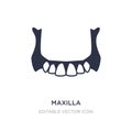 maxilla icon on white background. Simple element illustration from Dentist concept