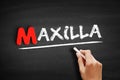 Maxilla text on blackboard Royalty Free Stock Photo