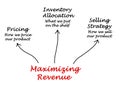 Maximizing Revenue