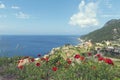 Panoramic view of bay of Banyalbufar with red poppies Royalty Free Stock Photo