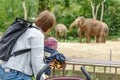 mother and a son watching at elephant family feeding in the zoo