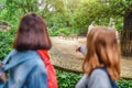 Two girls friends students looking at zebra and other animals in the Zoo, leisure and zoology