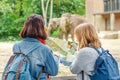 Two girls friends students watching at elephant family feeding in the zoo while navigating by map