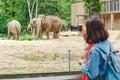 Woman watching at elephant family feeding in the zoo and making photos on her smartphone