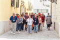 group of different people walking by a guide during an excursion in Budapest