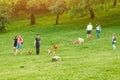 People are walking with their dogs on the playground in the city park