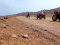 Quad safari tour in the Sinai Peninsula. Extreme sports in the Arabian desert. Quad routes through desert Royalty Free Stock Photo