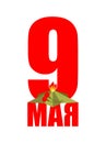 9 May. Eternal flame Russia patriotic military symbol is day of