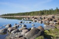 May evening on the rocks of the Gulf of Finland Royalty Free Stock Photo