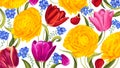 Floral background with bright spring May flowers. Yellow Ranunculus and colorful Tulips.