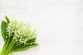 May flowers. Bouqet of lily of the valley flowers on white background top view copy space