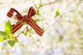 May 9 holiday. ribbon of St.George and cherry flowers, natural spring background. traditional symbol of Victory Day 1945 Royalty Free Stock Photo