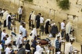 10 May 2018 Jewish men in prayer shawls and phylacteries pray fervently toward the traditional holy place at the western wall i Royalty Free Stock Photo