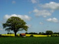 may landscape with busstop Royalty Free Stock Photo