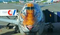 Tiger face airplane Royalty Free Stock Photo