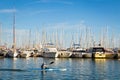 13-MAY-2016. A man kayaking along rows of yachts at the Palma ba