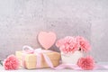 May mothers day handmade giftbox wishes photography - Beautiful blooming carnations with pink ribbon box isolated on fair-faced Royalty Free Stock Photo