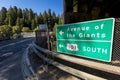 MAY 31, 2019, N CALIFORNIA, USA - Avenue of Giants and giant redwood forest along Route 101 in N California Royalty Free Stock Photo