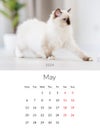 May 2024 Photo calendar with cute cat