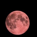 Pink Full Moon in black springtime nightsky Royalty Free Stock Photo