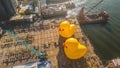 May 26 2023 Pre ready of Rubber Duck Project HK Tour