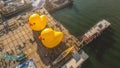 May 26 2023 Pre ready of Rubber Duck Project HK Tour