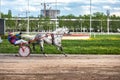 May 16, 2021, Russia, Central Moscow Racecourse. Grey trotter with a cart and rider runs to the finish line first.
