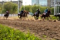 May 16, 2021, Russia, Moscow. Central racecourse. Horse racing Arab horses. Horses run galloping, dust from hooves, Royalty Free Stock Photo