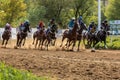 May 16, 2021, Russia, Moscow. Central racecourse. Horse racing Arab horses. Horses run galloping, dust from hooves, Royalty Free Stock Photo