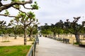 May 6, 2018 San Francisco / CA / USA - Landscape in Golden Gate Park; California Academy of Sciences and Sutro Tower visible in Royalty Free Stock Photo